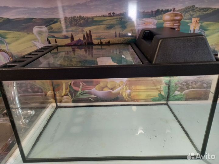 Террариум для рептилий большой