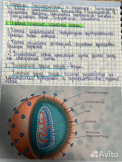 Пишу конспекты/лекции