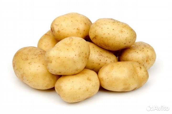 Продам картофель