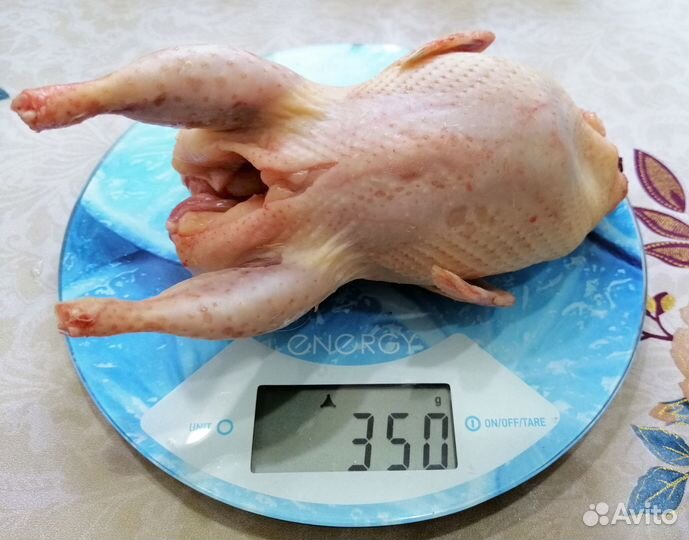Перепела и куры