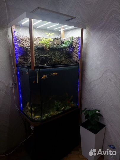 Аквариум