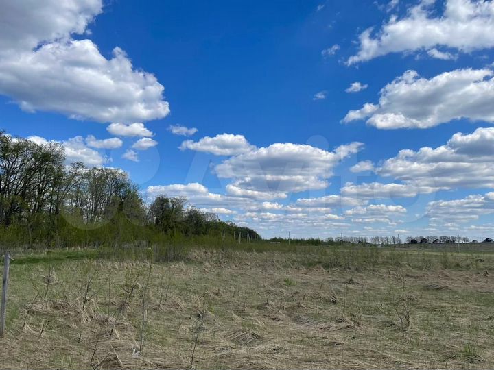 Участок 70 га (СНТ, ДНП)