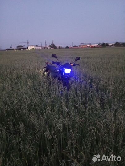 Продам альфу чамп RS12