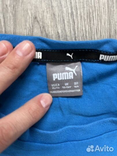 Футболка динамо puma