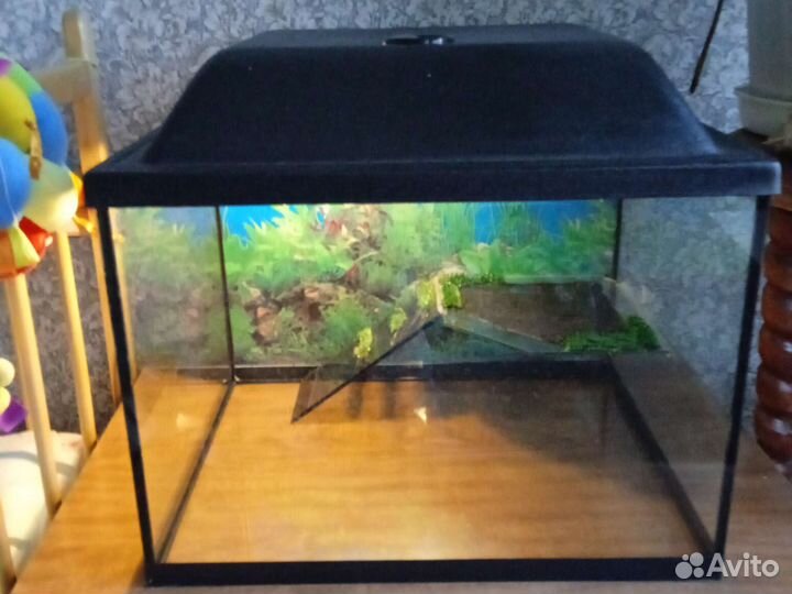 Красноухая Черепашка с аквариумом