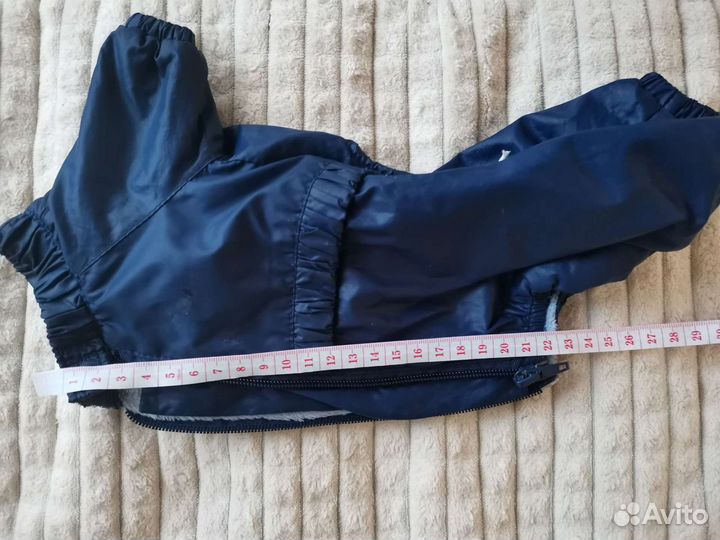 Вещи для собак