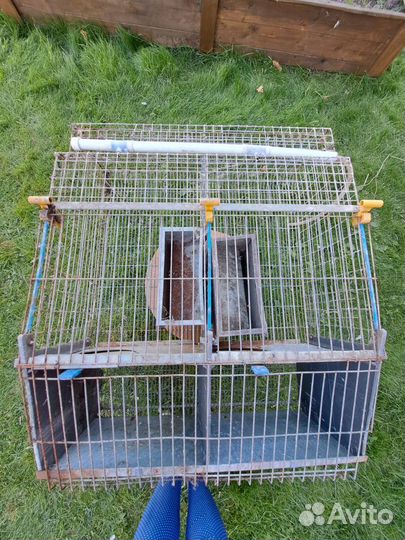 Клетка для кролика большая