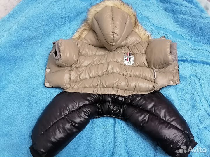 Комбинезон для маленькой собаки