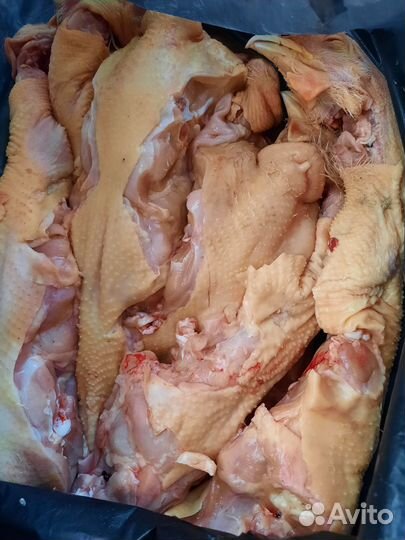 Спинки куриные