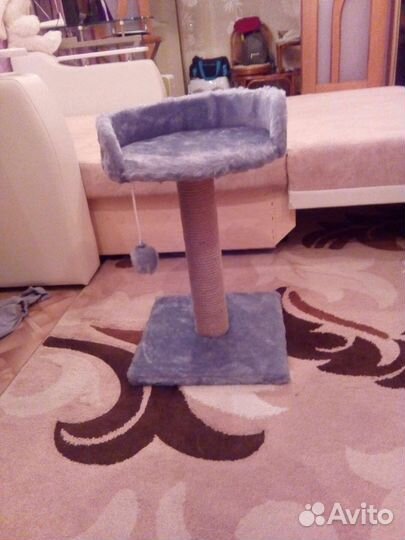 Когтеточка