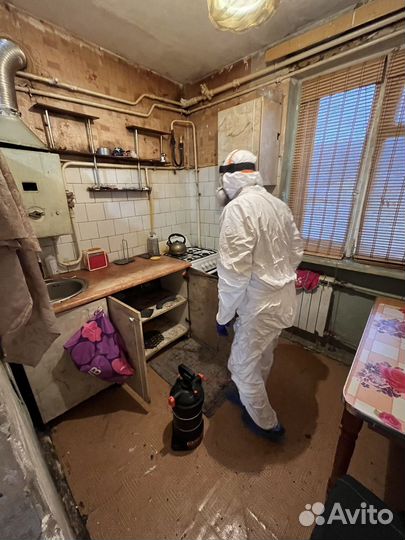 Уничтожение тараканов клопов блох мышей плесени