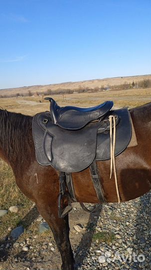 Седло престиж