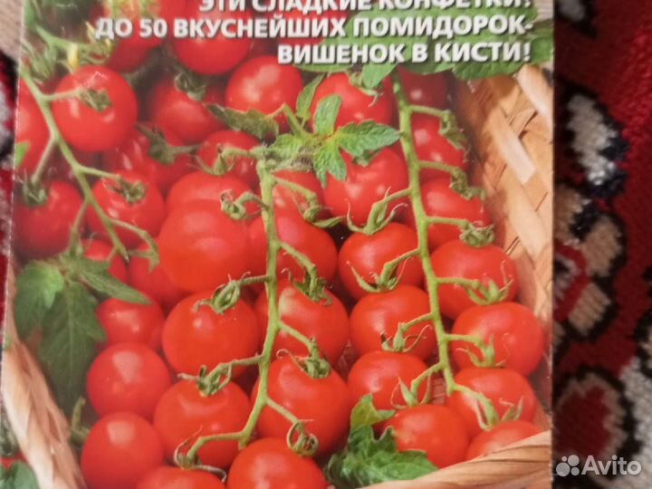 Рассада овощей