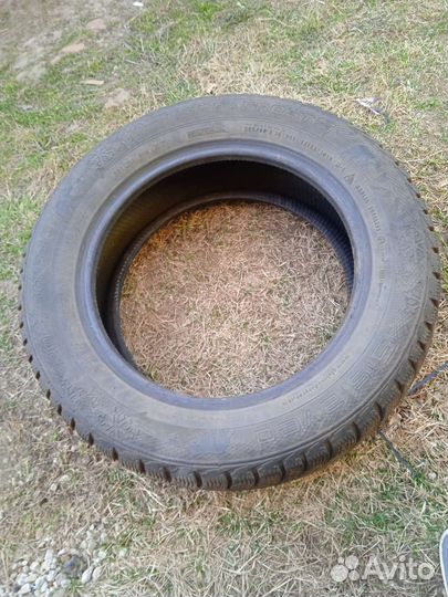 Bridgestone B391 175/65 R15