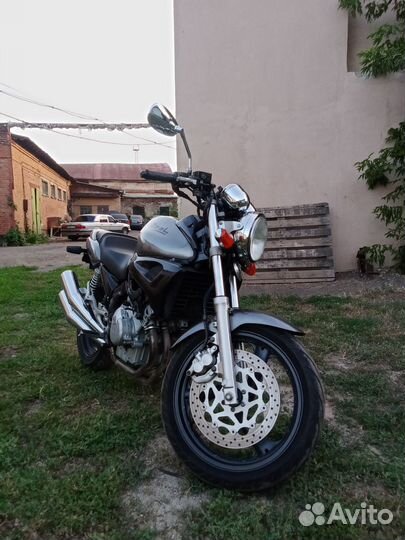 Yamaha fxz250 zial