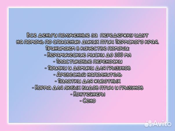 Передержка грызунов