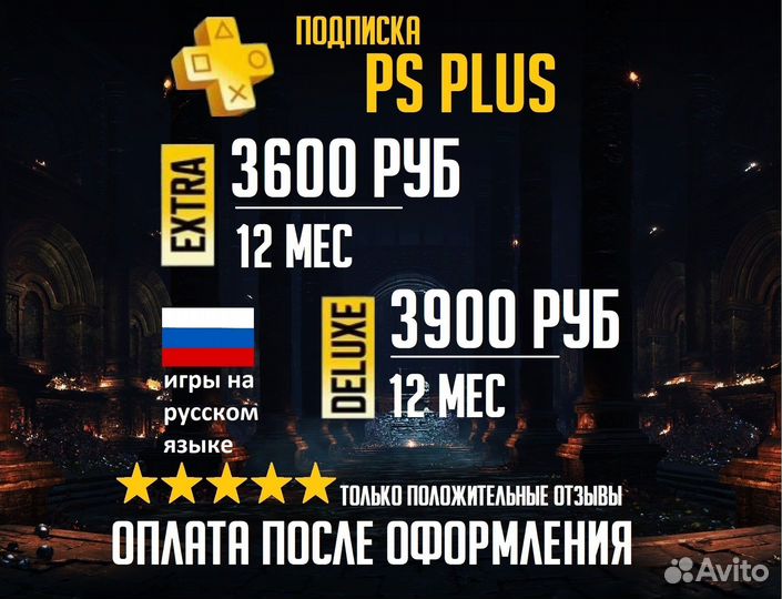 Ps plus Delux 12 месяцев PS873