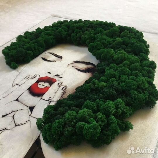 Мох стабилизированный.картины.цыфры