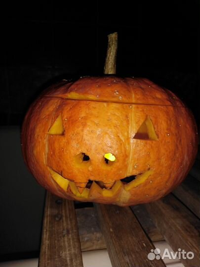 Тыквы для хэллоуина