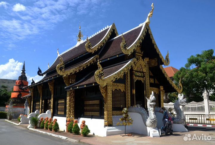 Go в Thailand от 8 дн