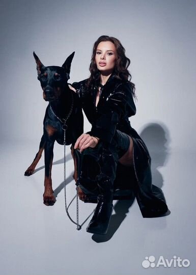 Фотосессия с доберманом 22 сентября