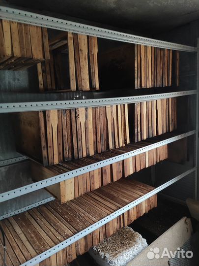 Продам пасеку, пчелы