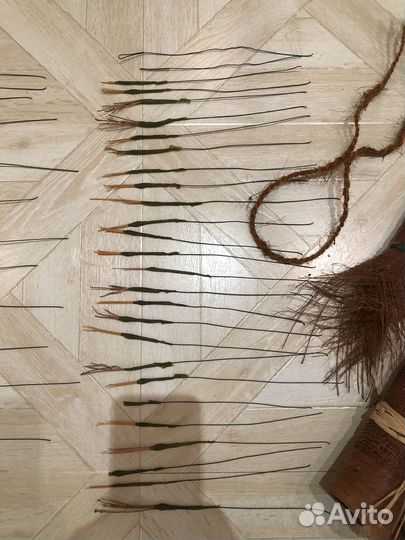 Сухоцветы для творчества