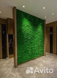 Нежное панно из мха для вашего интерьера Арт: 435695