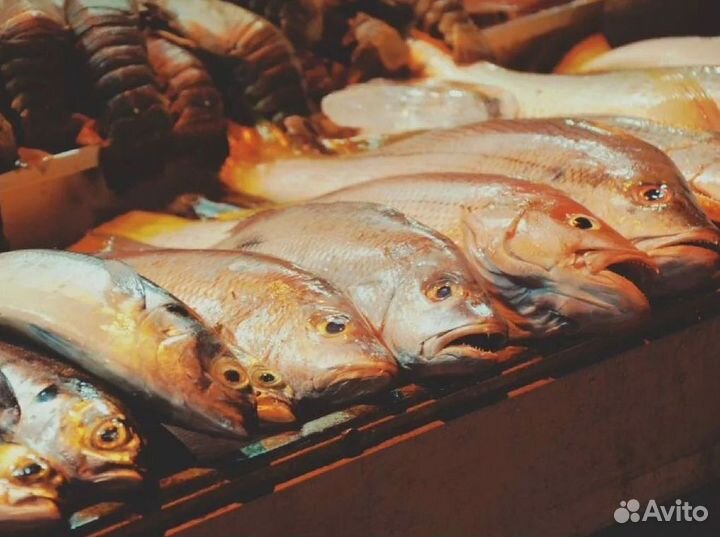 Магазин морепродуктов — готовый бизнес