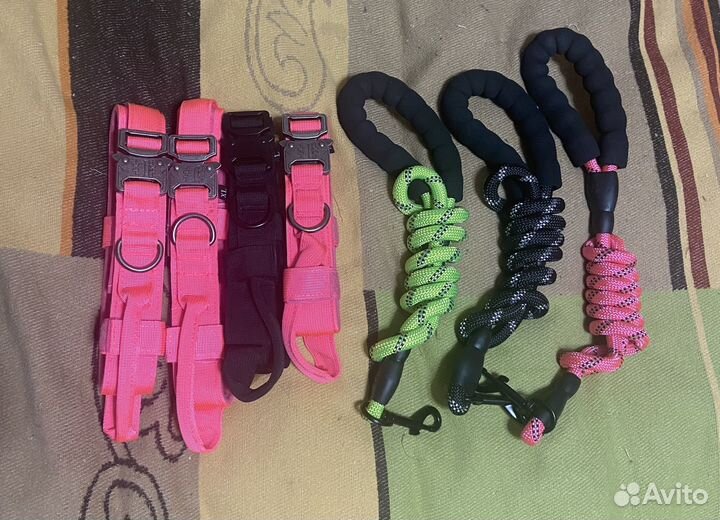 Дождевики для собак