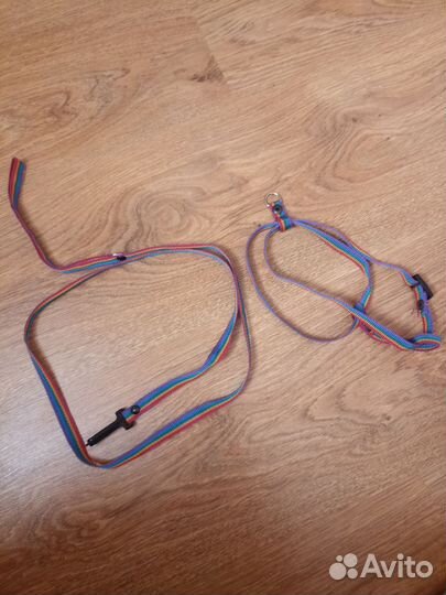 Амуниция для собак/кошек