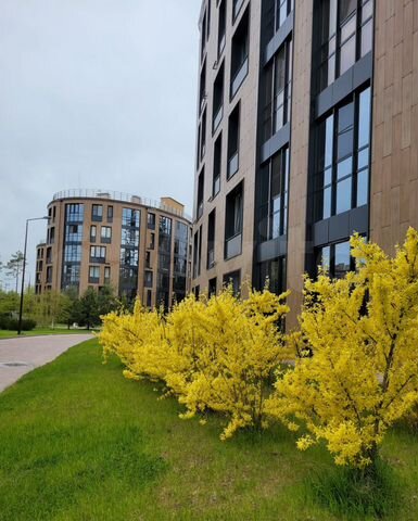 1-к. апартаменты, 49 м², 3/6 эт.