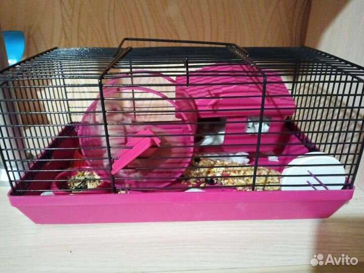 Клетка для хомяка
