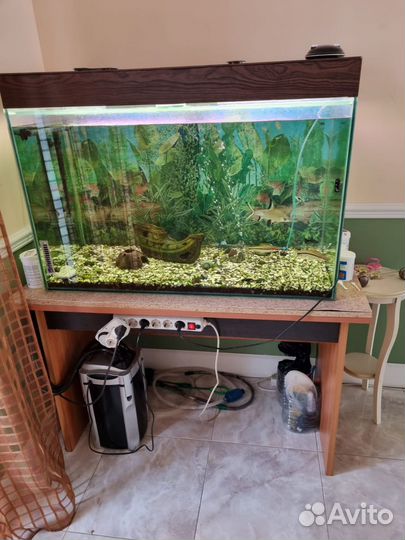 Аквариум на 300 литров
