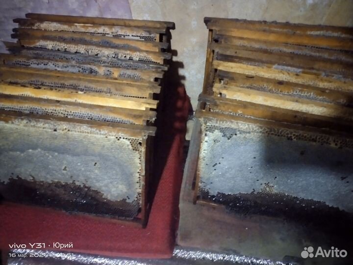 Продам сушь и тару