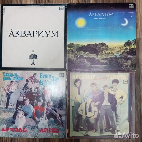Виниловые пластинки