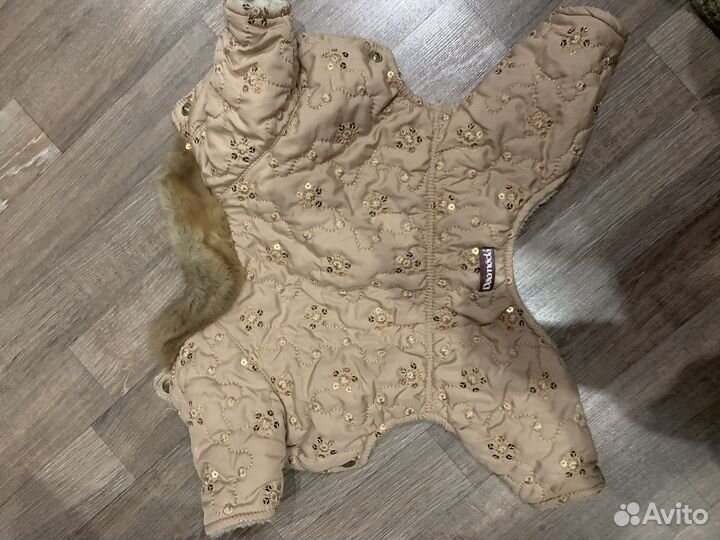 Костюм для собаки