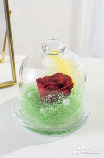 Вечная живая роза в колбе