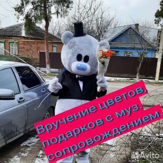 Экспресс поздравление мишки Тедди