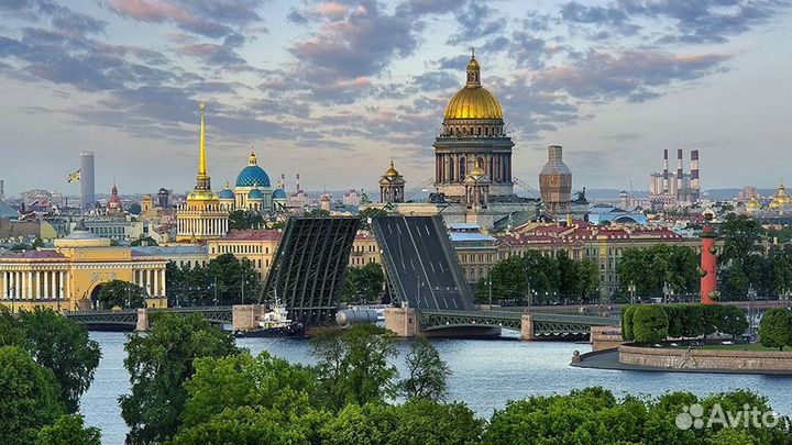 Свой человек в оренбурге, доверенное лицо