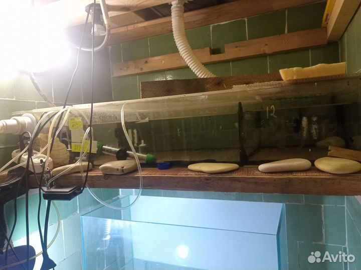 Аквариум