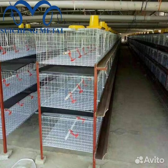Клетки для кур с кормушками, поилками и поддонами
