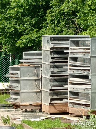 Клетки для перепелов бу