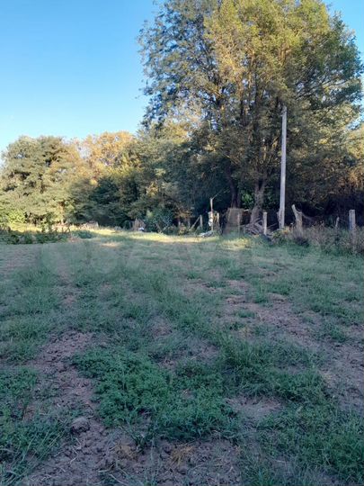 Участок 22 сот. (СНТ, ДНП)