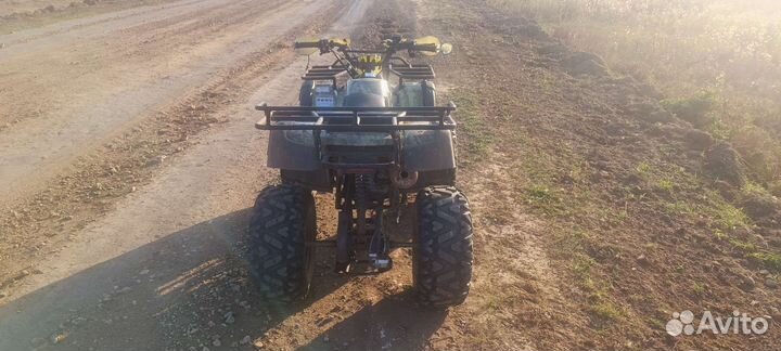 Квадроцикл 250