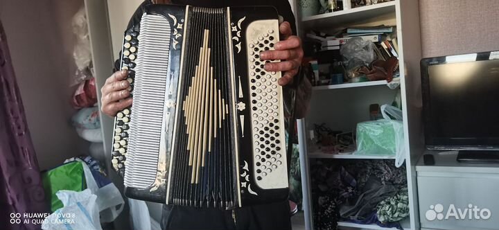 Баян Беларусь