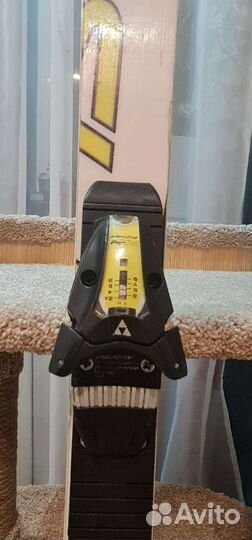 Горные лыжи спортцех