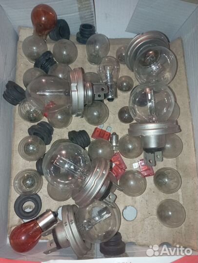 Автолампы 24V