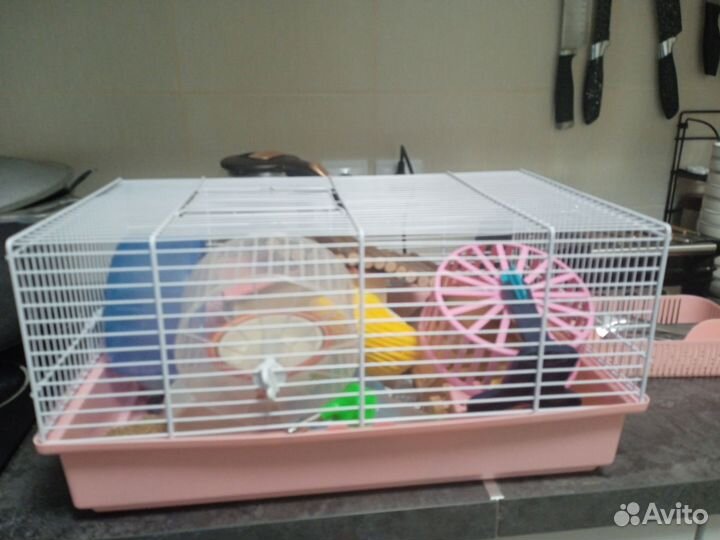 Клетка для грызунов и много аксессуары