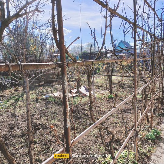 Дом 38 м² на участке 6 сот.